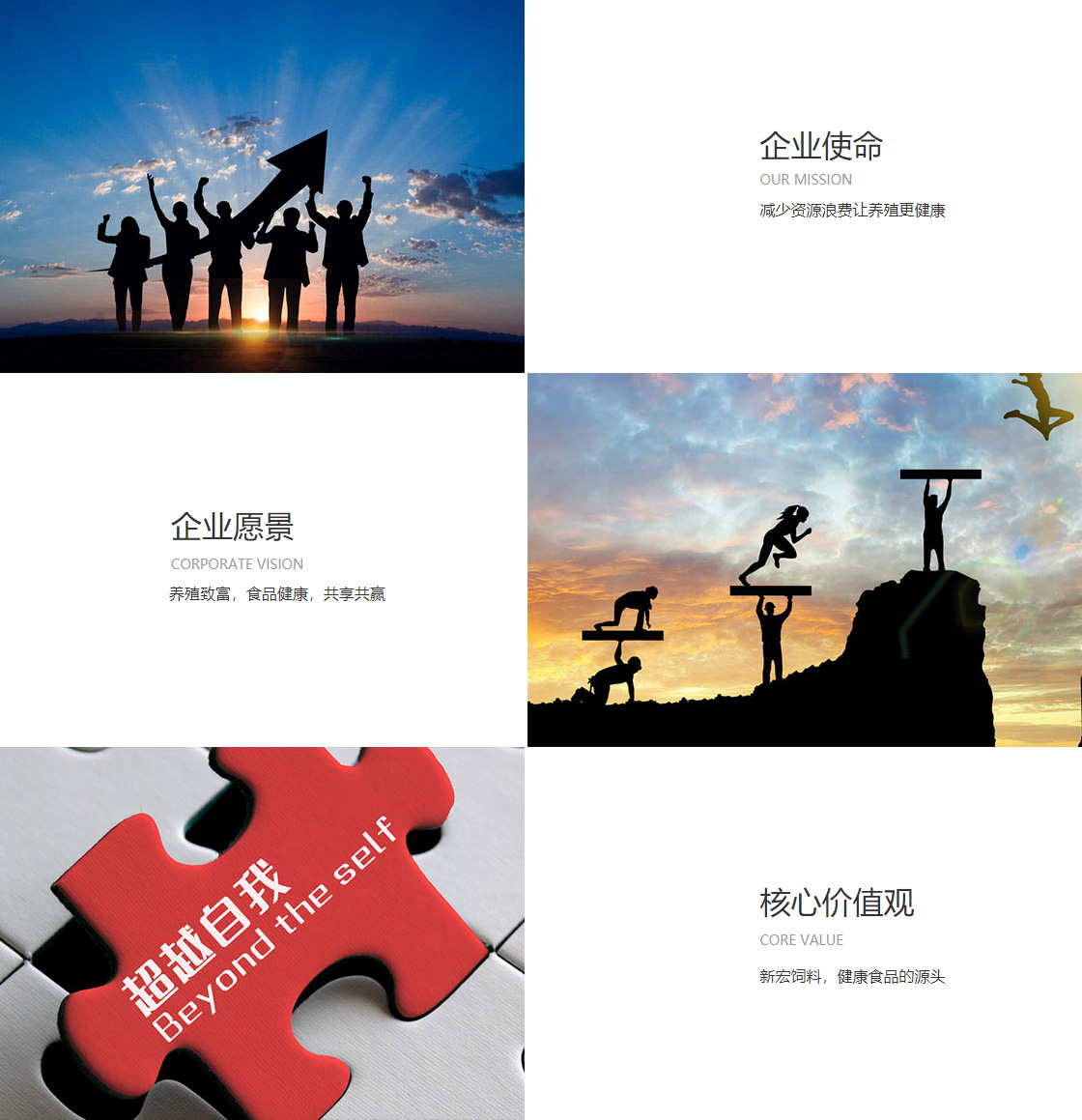 k1体育十年品牌值得信赖入口(图1)